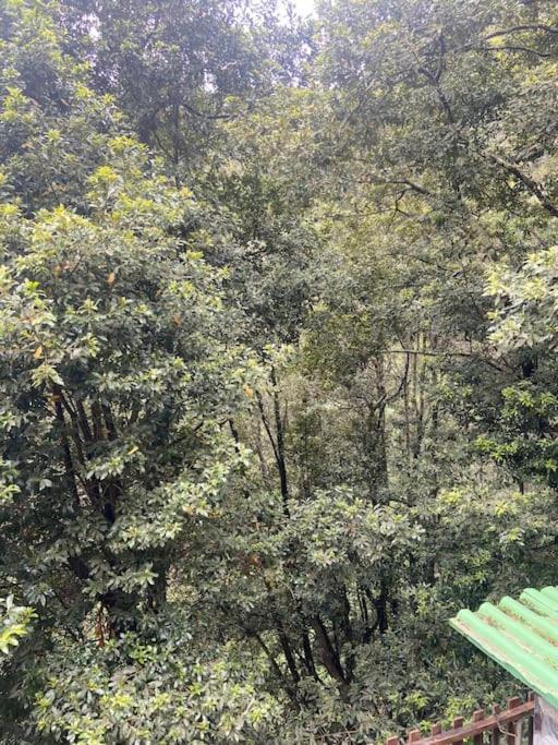 فيلا Luz De Vida Anaga سانتا كروز دي تينيريف المظهر الخارجي الصورة